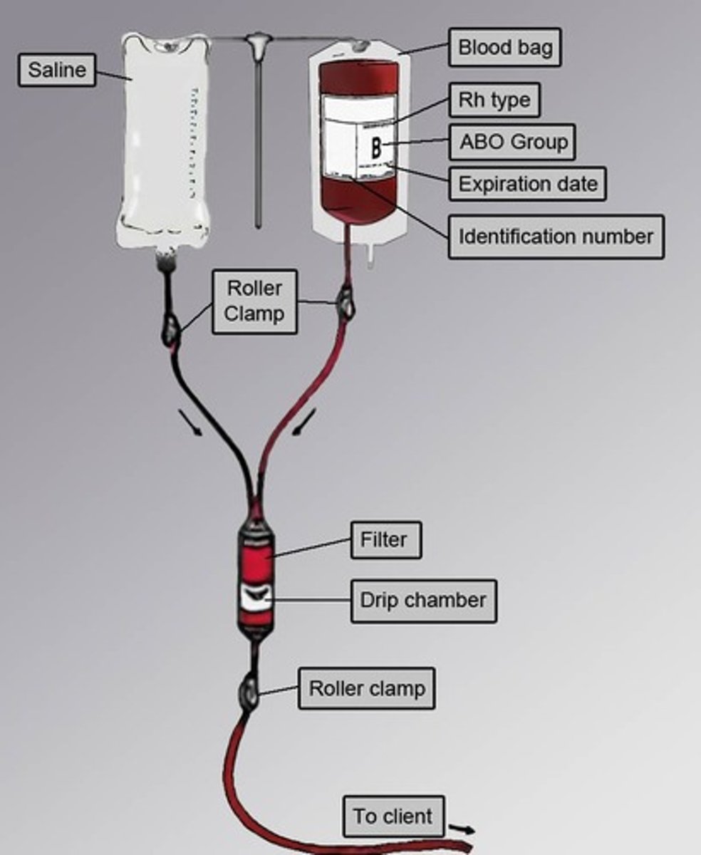 <p>Most common transfusion for bleeding or anemia.</p>