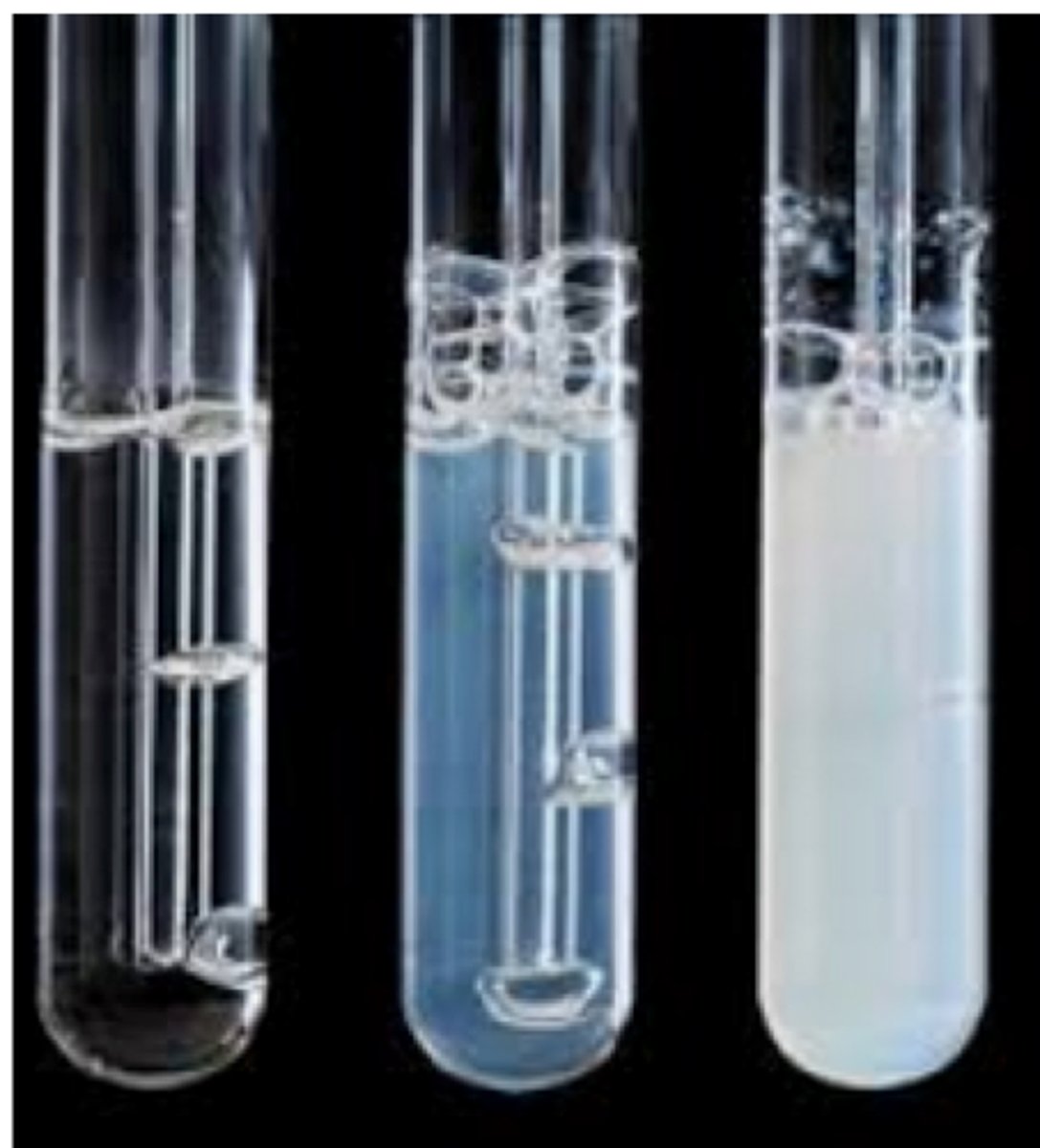 <p>Turns limewater milky/cloudy</p>