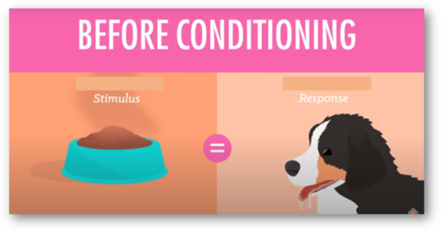 <p>A natural stimulus that triggers a response automatically and reflexively.</p>