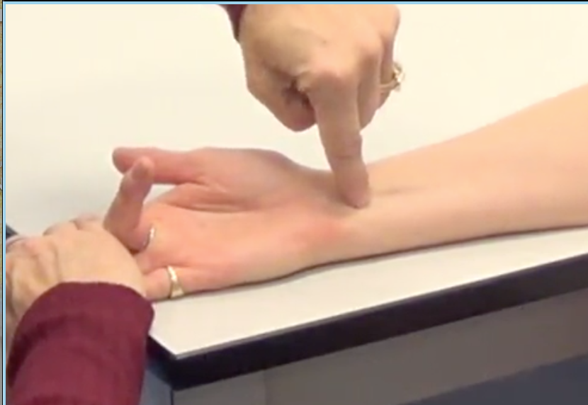 -In grade 3,4,5 position
-Flexor digitorum superficialis (palpate tendon just medial to the palmaris longus tendon