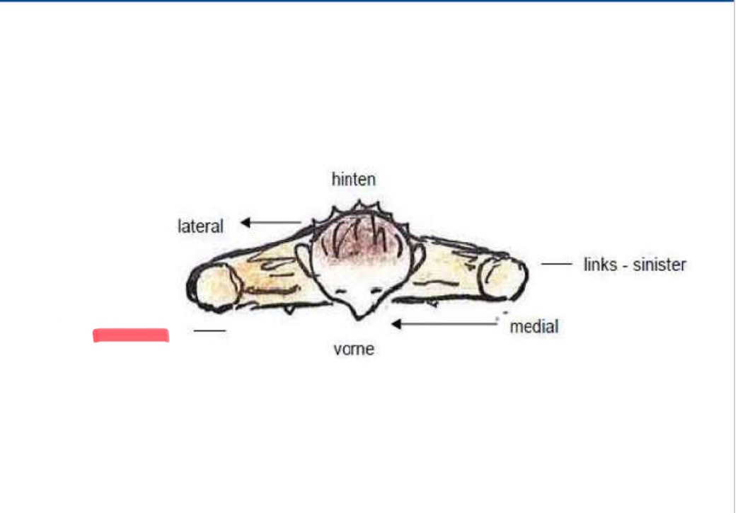 <p>Richtungsbeschreibung </p>