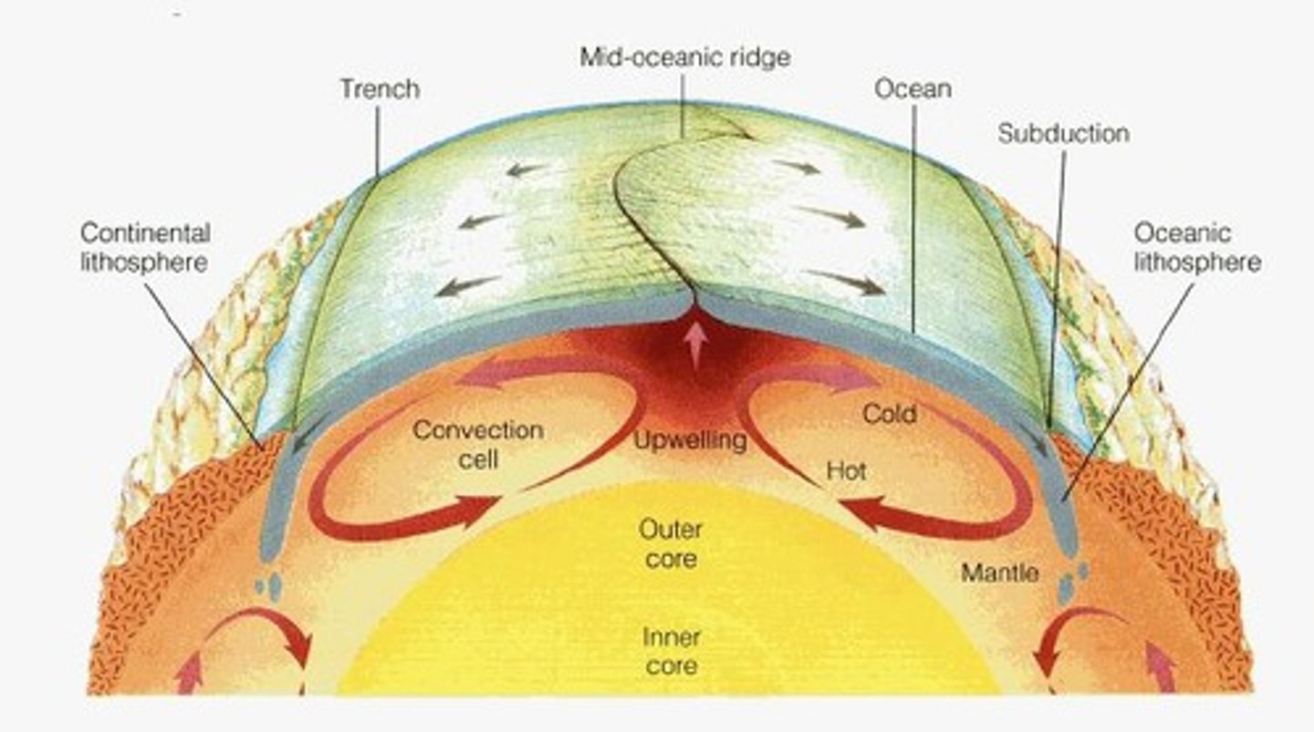 <p>Boundary between core and mantle.</p>