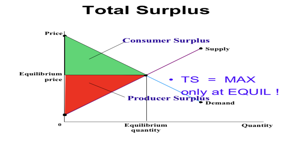 <p><span>The economic well-being of a society is measured as the sum of consumer surplus and producer surplus - total surplus. Market efficiency is attained when the allocation of resources maximises total surplus.</span></p>