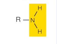 <p>What functional group is this?</p>