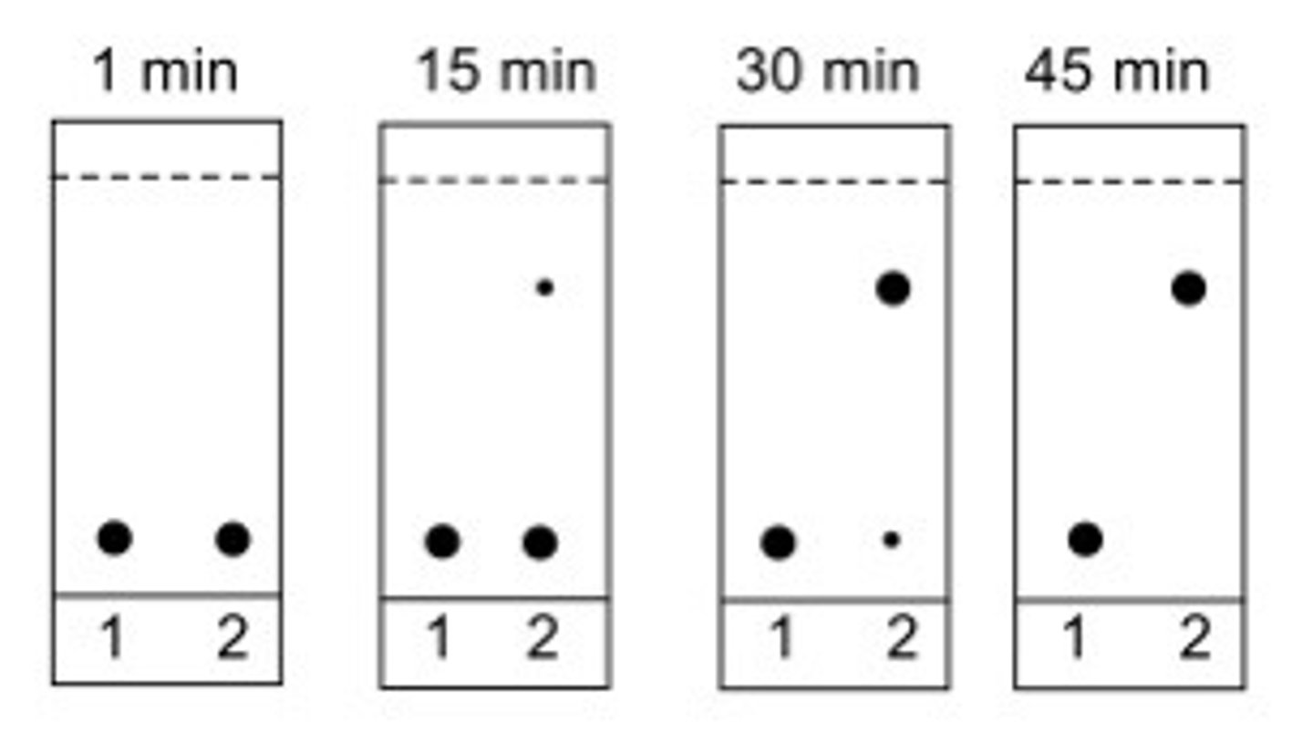 <p>45 mins</p>