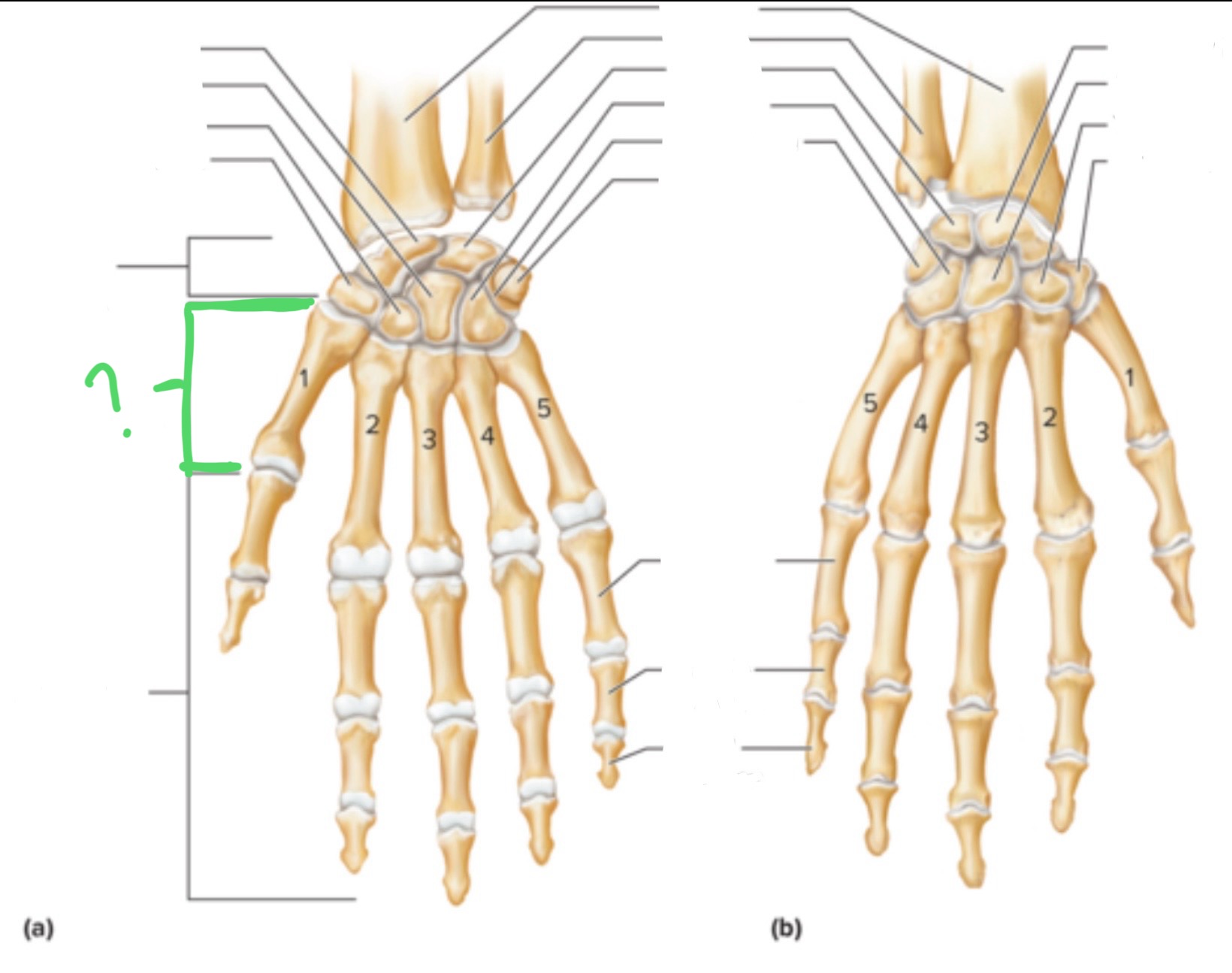 <p>What  are these?</p>