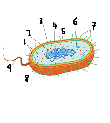 <p>Label this diagram</p>