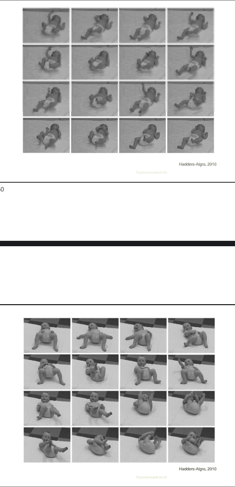 <p>2 babys gefilmed voor ee halfuur</p><p>Baby 1 → beperkte beweging (kan eig wel al veel maar doet het niet)</p><p>Baby 2 → verschillende bewegingen (exploratief, verschillende neuronale connecties)</p>