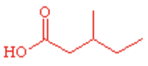 <p>name this structure</p>