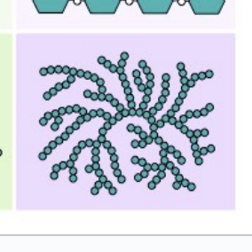 <p><span style="font-family: Arial, sans-serif">storage form of carbohydrates in humans and other vertebrates.</span></p><p>comes from animals, a- glucose, branches</p><p><span style="font-family: Arial, sans-serif">blood glucose levels </span><em><span style="font-family: Arial, sans-serif">increase</span></em><span style="font-family: Arial, sans-serif"> (i.e. after eating), glucose is stored as glycogen</span></p><p><span style="font-family: Arial, sans-serif">When blood glucose levels </span><em><span style="font-family: Arial, sans-serif">decrease</span></em><span style="font-family: Arial, sans-serif">, glycogen is digested to release glucose into the blood so the cells can continue doing cellular respiration.</span></p>