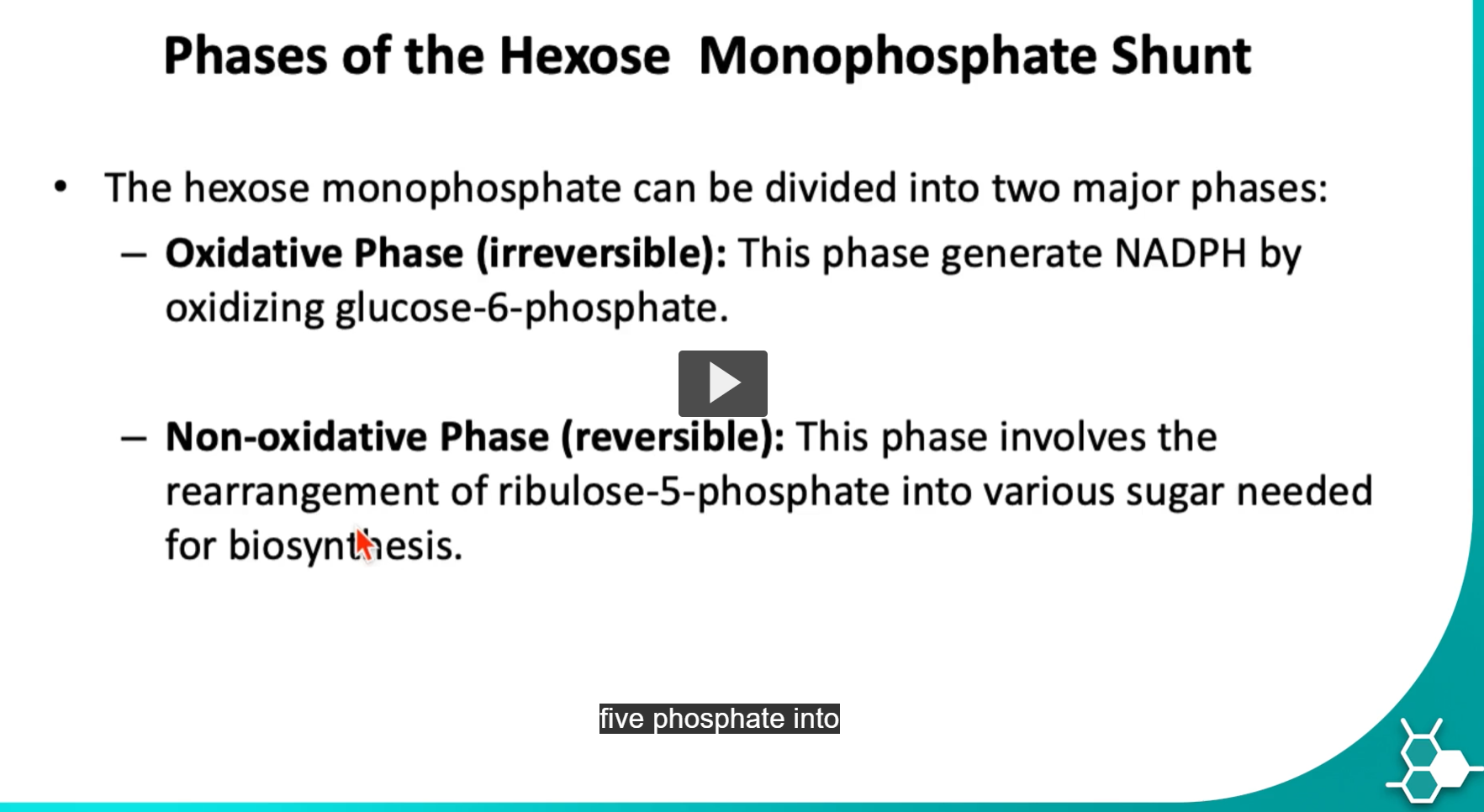 <p>-the <strong>hexose monophosphate</strong> can be <strong>divided</strong> into <strong>two major phases</strong>:</p><ol><li><p>-<strong>oxidative phases (irreversible)</strong>: the <strong>NADPH is produced</strong> by <strong>oxidizing glucose-6-phosphate</strong> (<span style="color: rgb(9, 4, 4);"><span>the oxidative phase is irreversible due to the</span></span><span style="color: rgb(192, 41, 41);"><span> </span></span>large negative ΔG (Highly Exergonic)</p></li></ol><p>The oxidative step:</p><ul><li><p>Transfers a hydride (H⁻) → Reduces NADP⁺ → NADPH, Oxidizes an alcohol group to a lactone</p></li></ul><p>Oxidation + reduction of NADP⁺ releases significant free energy.</p><p>That makes: <span>ΔG≪0</span></p><p><strong>Large negative free energy change = reaction strongly favors products =</strong> <strong>irreversible under physiological conditions</strong></p><ol start="2"><li><p>-<strong>non-oxidative phases (reversible)</strong>: this phase involves the <strong>rearrangement</strong> of <strong>ribulose-5-phosphate</strong> into <strong>various sugar</strong> needed for <strong>biosynthesis</strong>.</p></li></ol><p></p>