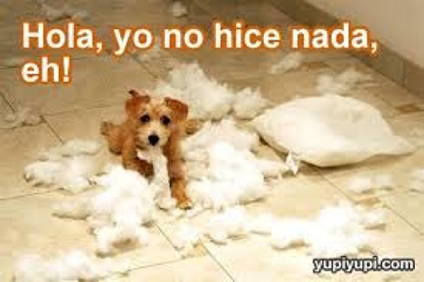<p>naughty</p>