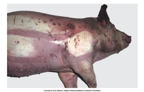 <p>What is this?</p>