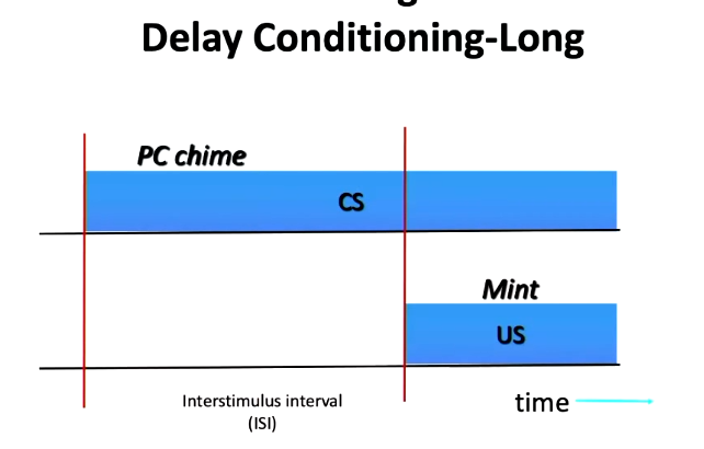 <ul><li><p>CS presented first before US joins after a longer time</p><ul><li><p>e.g. Whiste plays by self first, food presented towards end of long whislting period</p></li></ul></li></ul><p></p>