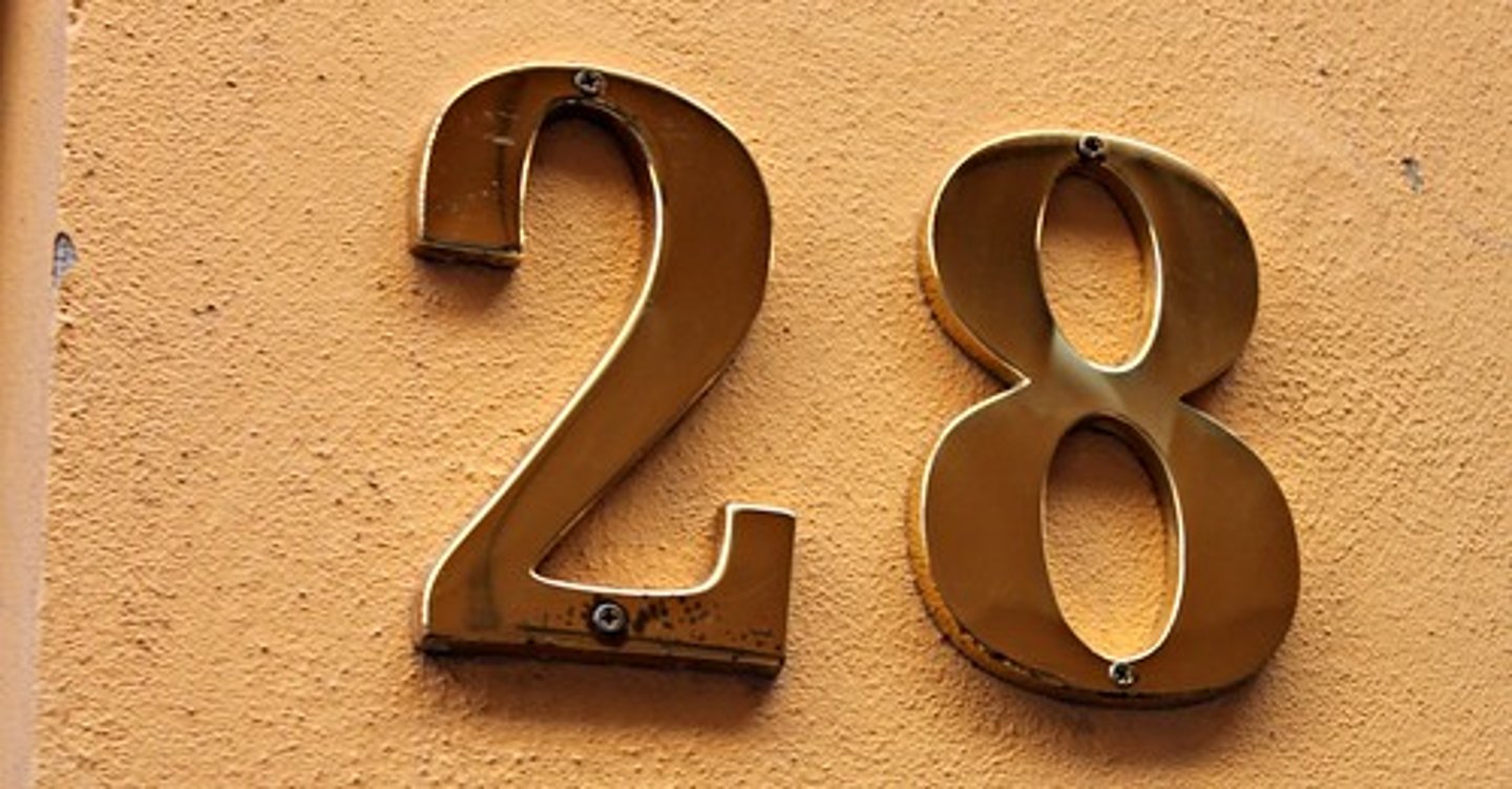 <p>28</p>