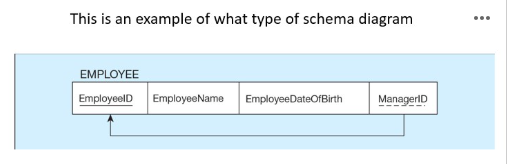 <p>This is an example of what type of schema?</p>
