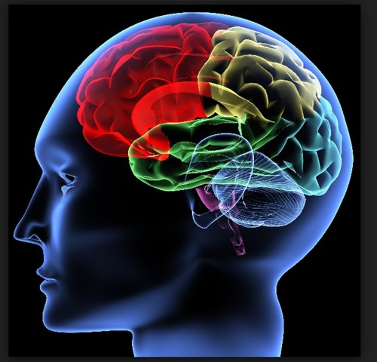 <p>Greek word for mind / intellect</p>