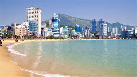 <p>海岸 (かいがん) </p>