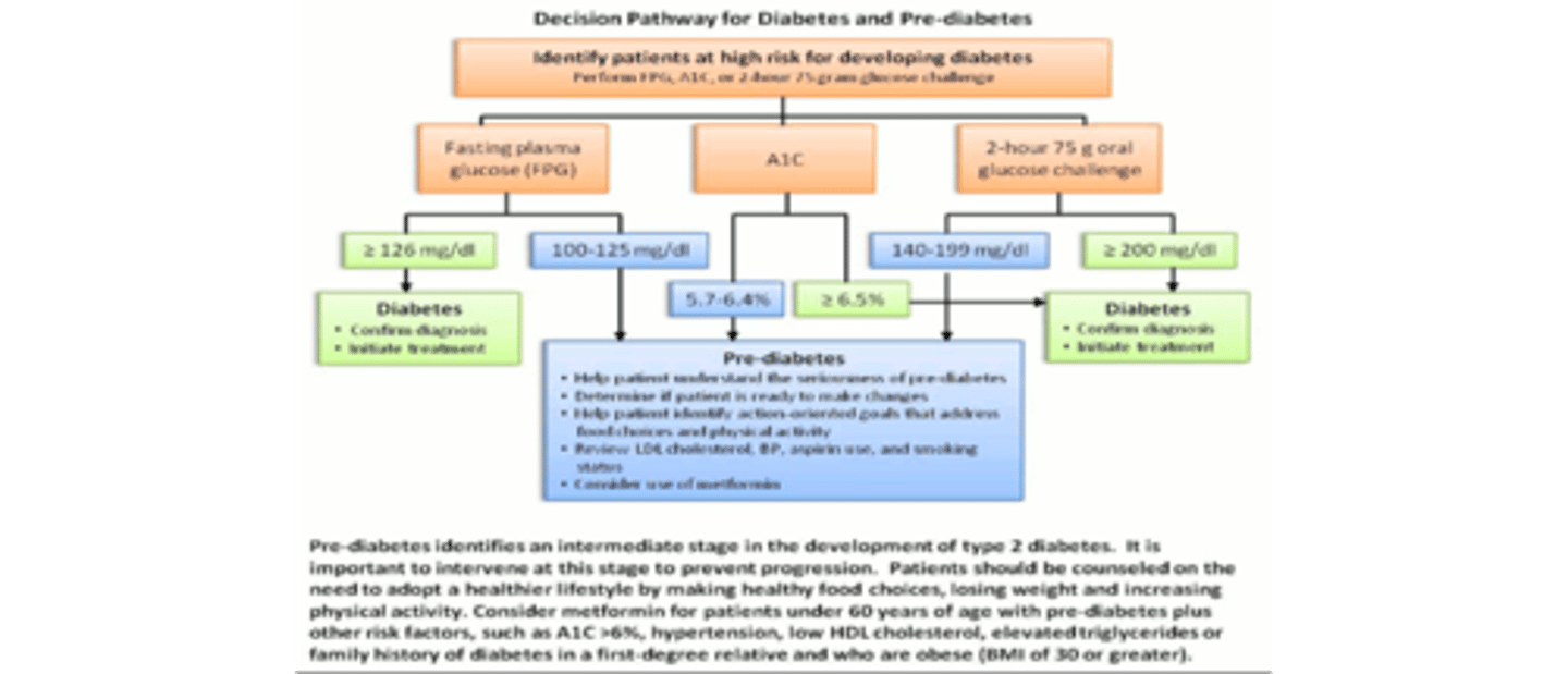 <p>If same decision pathways are used, then all patients are getting the same care</p><p>ex. decision pathway for diabetes and prediabetes</p>