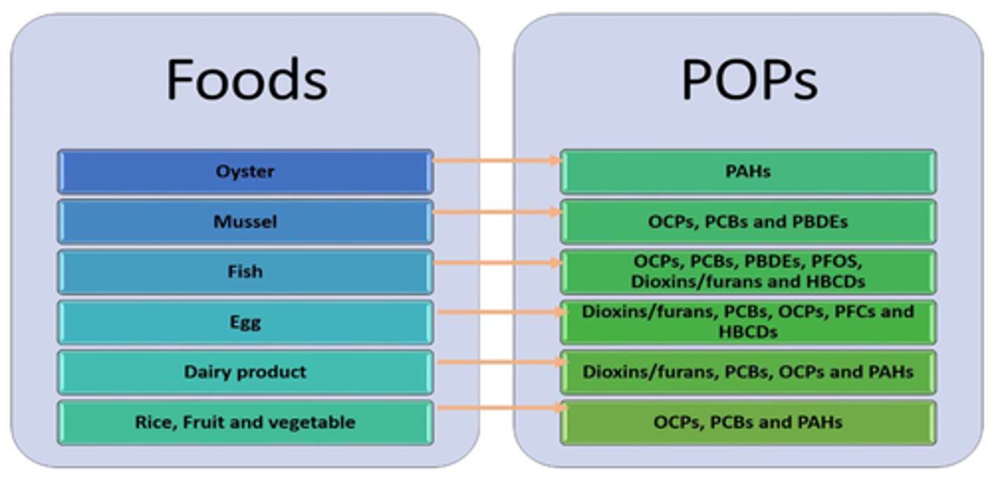 <p>Animals products, especially the meat of animals we eat and eggs.</p><p>The picture is from a study in Korea about where the most dangerous synthetic chemicals are found.</p>