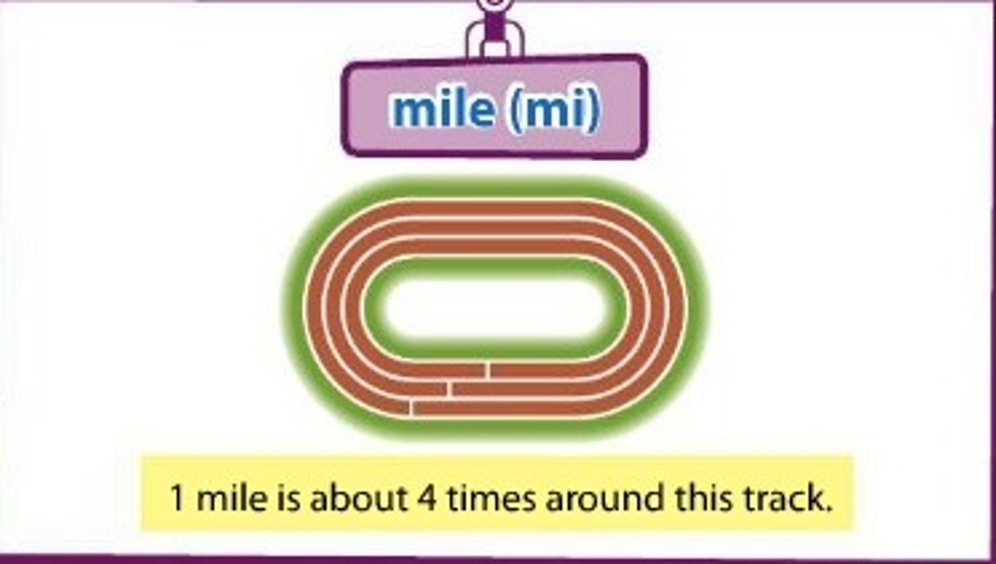 <p>mile</p>