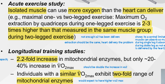 <p><span style="color: yellow;"><strong><em><u>ACUTE EXERCISE STUDY:</u></em></strong></span></p><ol><li><p>Shows its a <mark data-color="purple" style="background-color: purple; color: inherit;">central limitation</mark> (the muscle can absorb so much o2 during single leg it absorbs less during doble leg as not enough o2 is delivered by the heart)</p></li><li><p>Extraction should be the same, so heart delivery is the issue</p></li></ol><p></p><p><span style="color: yellow;"><strong><em><u>LONGITUDINAL TRAINING STUDIES:</u></em></strong></span></p><ol><li><p>2x capacity should also be 2x increase in VO2 max</p></li><li><p>Would expect individuals to have a higher VO2 Max</p></li></ol><p></p>