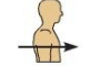 <p>Anterior (or ventral)</p>