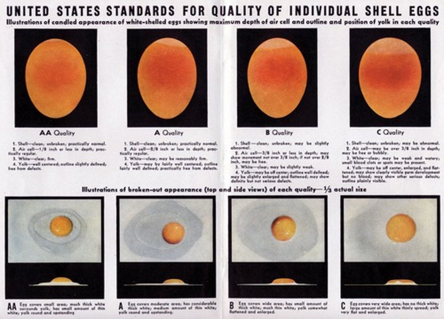 <p>Egg quality is determined through candling and decreases with storage due to moisture loss.</p>