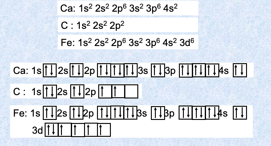 <ul><li><p><span>Each box represents an individual atomic orbital, and arrows (representing electrons) are used to show the specific placement of electrons within those orbitals.</span></p></li><li><p><span>Electrons fill lower energy orbitals first, no two electrons in the same orbital can have the same spin and every orbital in a sub shell is singly occupied before any are double occupied</span></p></li></ul><p></p>