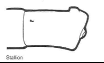 <p>stallion</p>