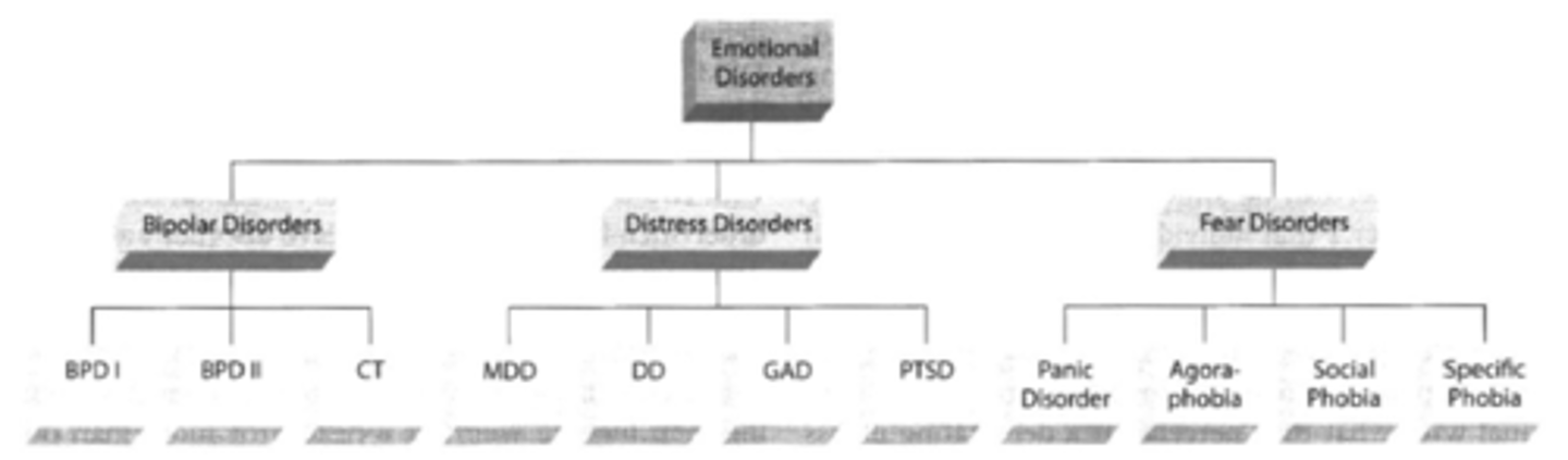 <p>- higher-order categorical class of symptoms<br><br>- psychopathology may occur in a spectrum with hierarchical structure rather than consisting merely of numerous discrete disorders, e.g.. depression and anxiety more members of a larger spectrum of emotional disorders<br><br>- benefit of explaining and predicting comorbidity and it begins to provide some theoretical insight into how different symptoms may be related</p>