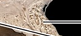 <p>What is the name of this bone in the skull?</p>
