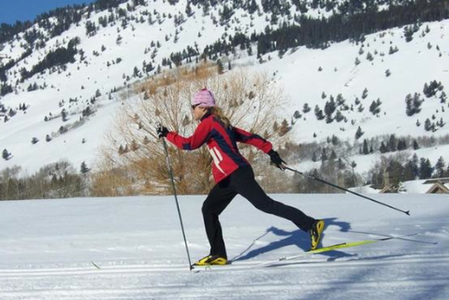 <p>to cross-country ski</p>