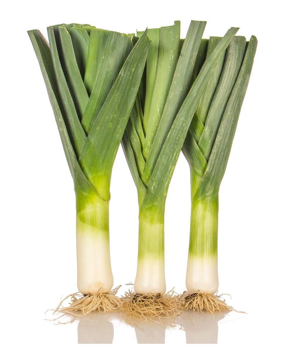 <p>leeks</p>