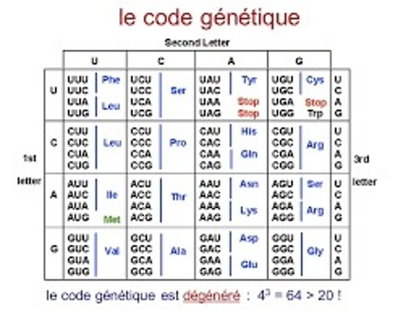 <p>genetics</p>