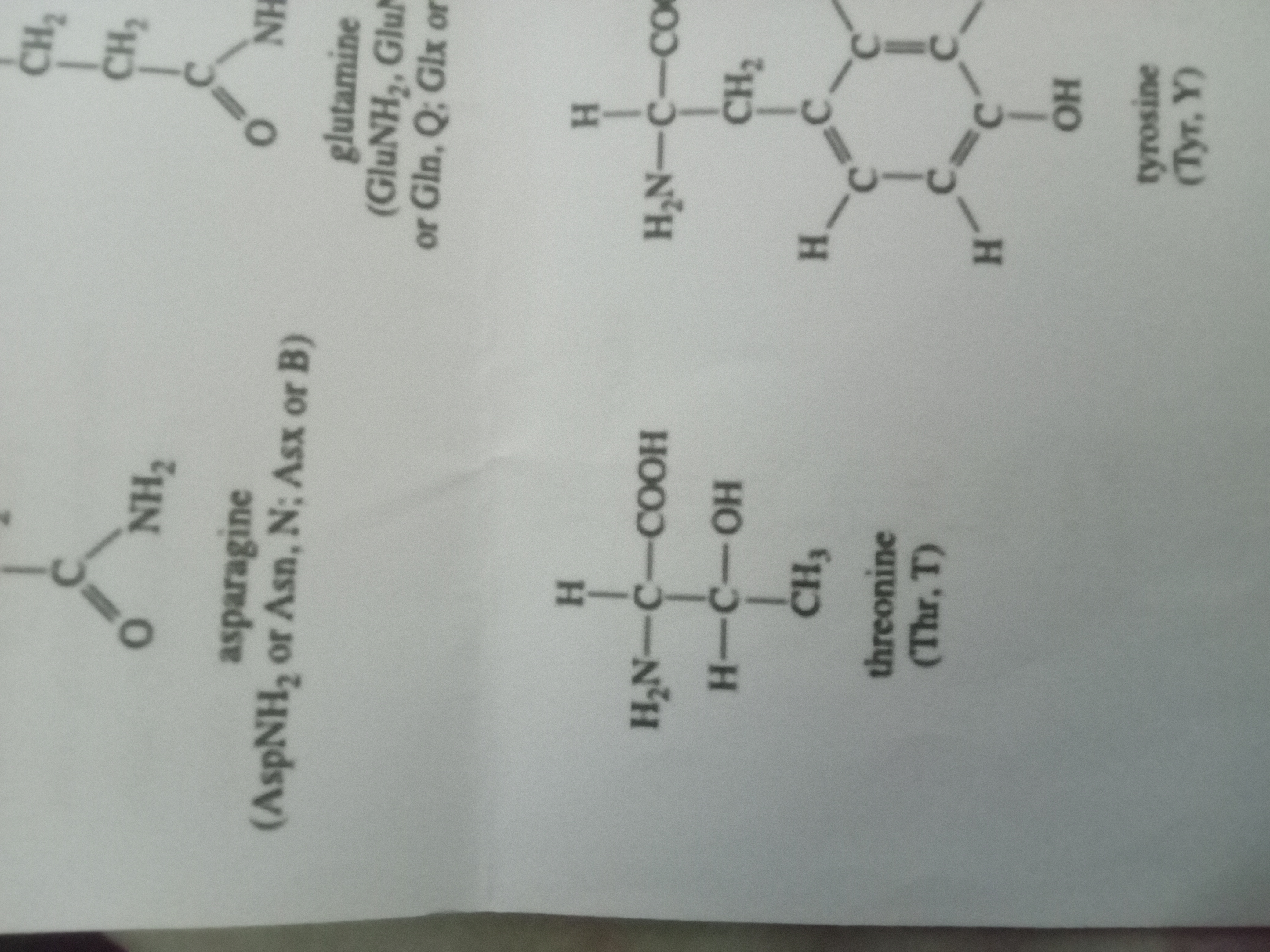 <p>Threonine</p>