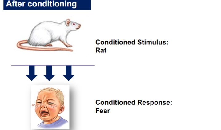 <p>Issues with:</p><ul><li><p>The ethical standards of the study</p></li><li><p>The rigor of the experiment </p></li></ul><p></p>