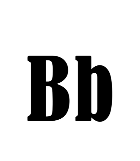 term image