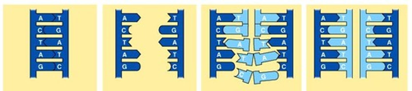 <p>The combination of DNA from two or more organisms into a single DNA molecule.</p>