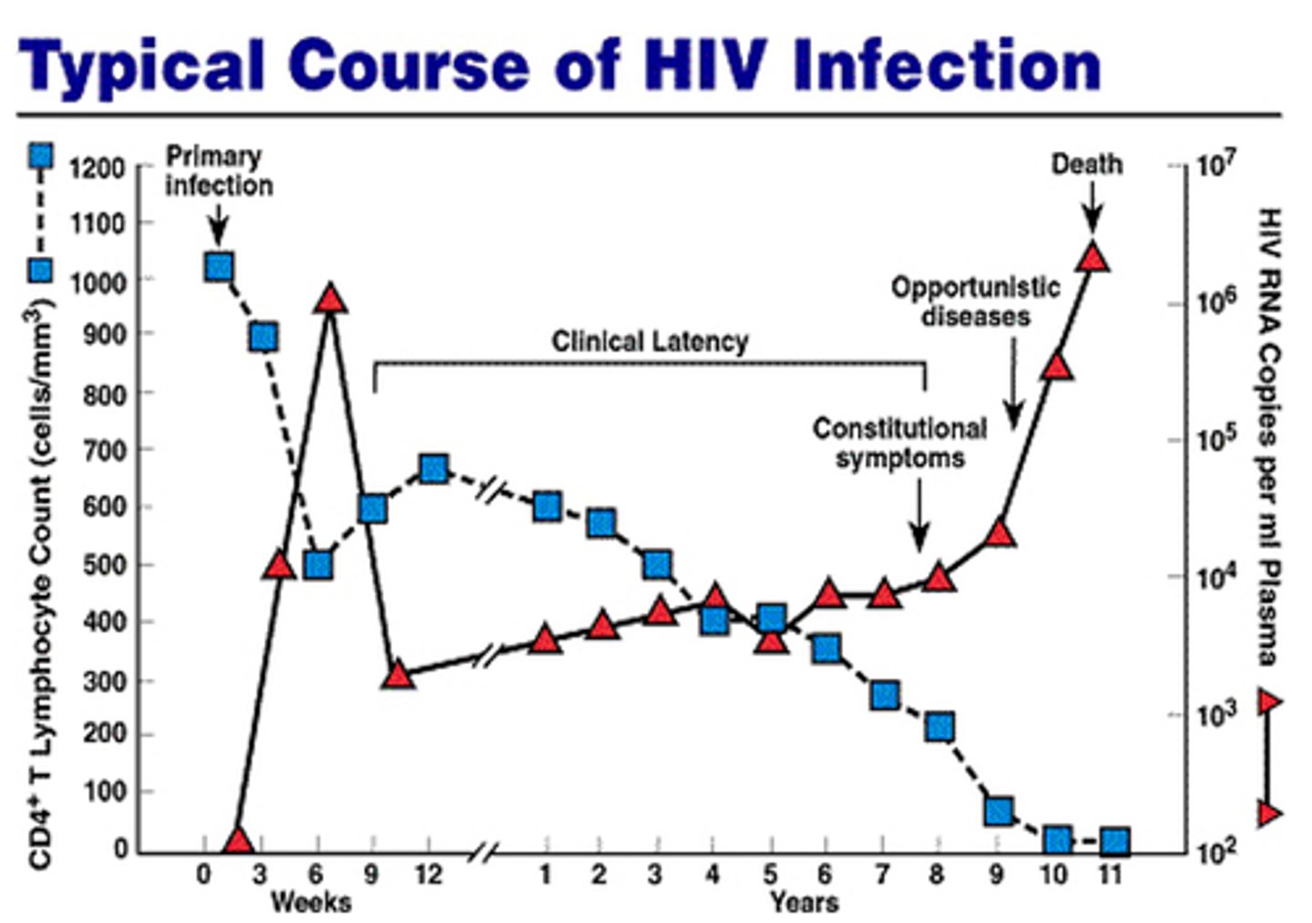 <p>Decreases until week 6 where it increases for a number weeks until it gradually decreases again</p>