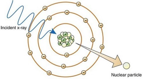 <p>What type of interaction is shown?</p>