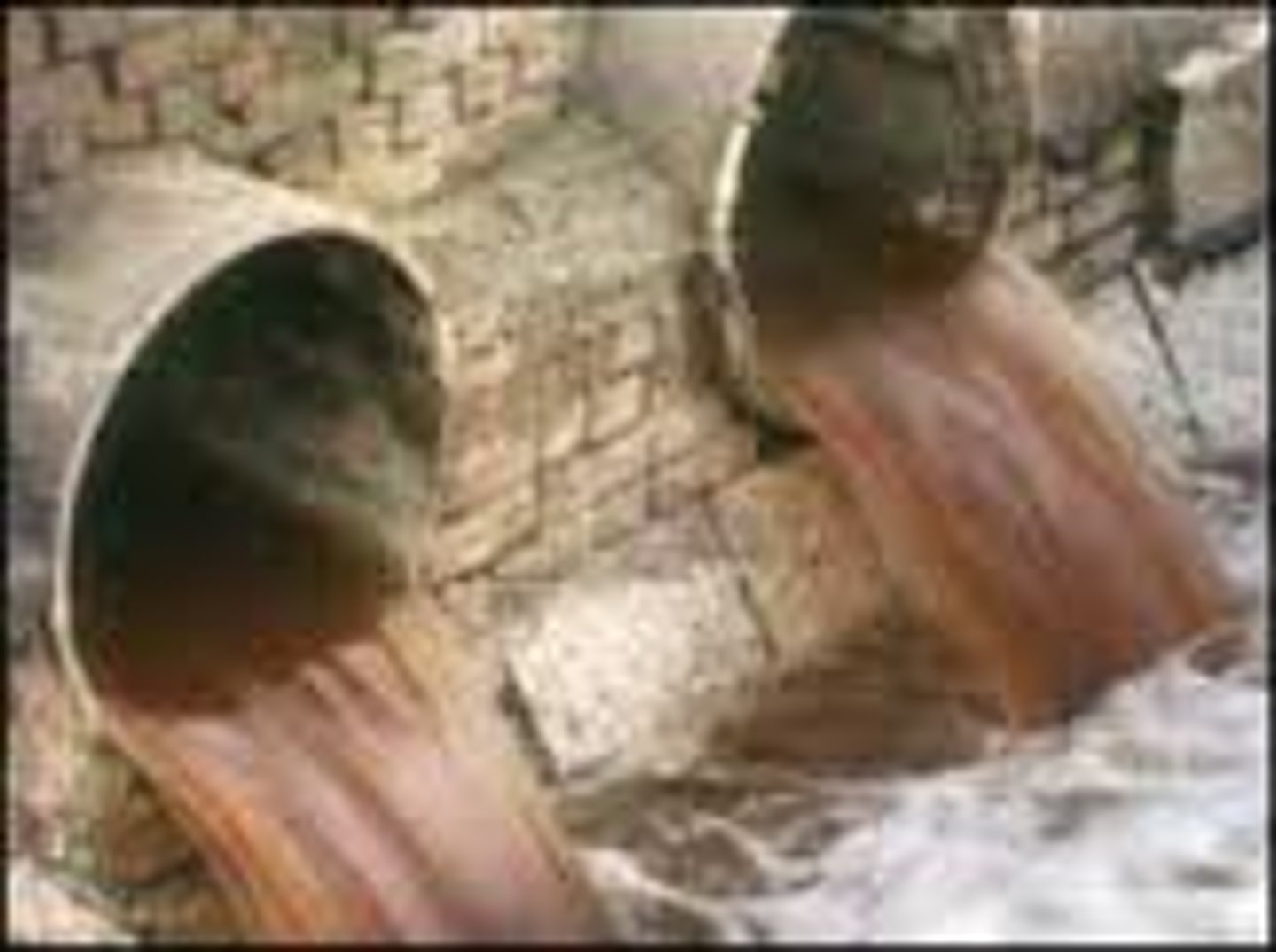 <p>The water and human wastes that are washed down sinks, toilets, and showers</p>