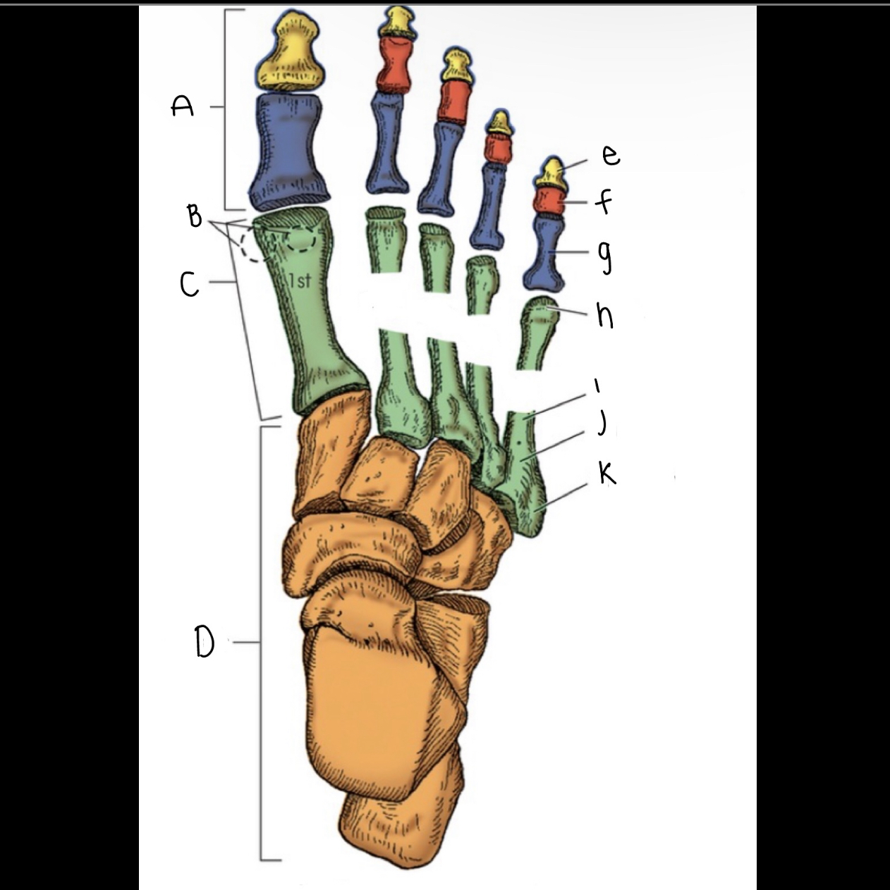 <p>What letter is A pointing to?</p>