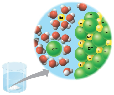 <p>Aqueous solution</p>