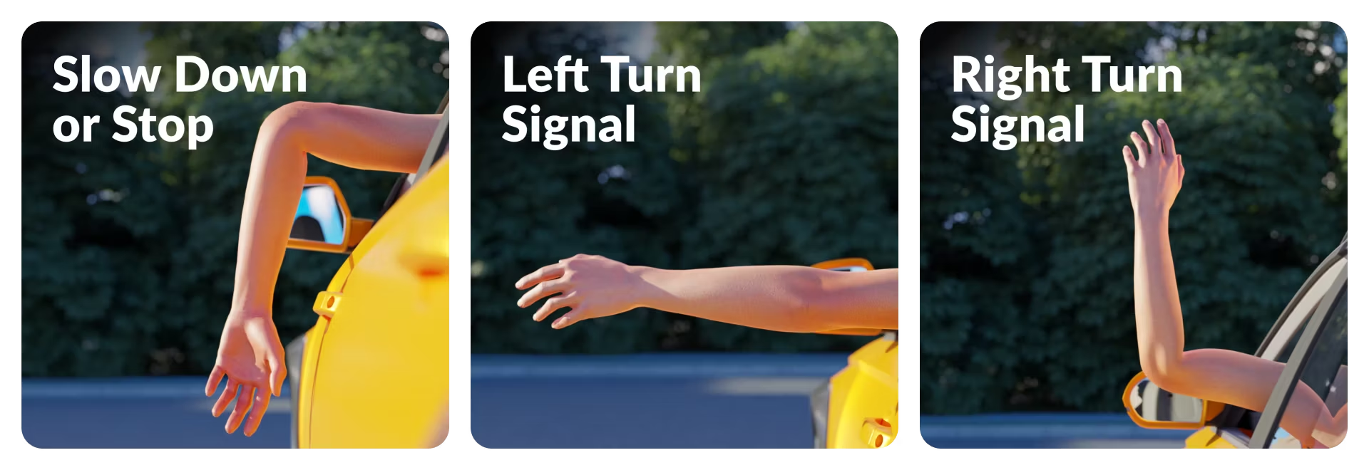 <p>arm out the window</p>