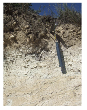 <p><strong>light gray or white soils contain</strong></p>