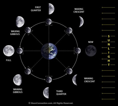 <p>The different phases of the moon are caused by the angle from which an observer on earth can see the moon illuminated by the sun as it orbits our planet. As the moon makes its way around the earth a person can look up in the sky and see various fractions of its surface reflecting sunlight. While there is always half of the moon that is &quot;lit&quot; by the sun the observer on earth will see the moon pass through its phases one complete time in a span of 29 and a half days. (Las diferentes fases de la luna son causadas por el ángulo desde el cual un observador en la tierra puede ver la luna iluminada por el sol mientras orbita nuestro planeta. A medida que la luna gira alrededor de la tierra, una persona puede mirar hacia el cielo y ver varias fracciones de su superficie reflejando la luz del sol. Si bien siempre hay la mitad de la luna que está &quot;iluminada&quot; por el sol, el observador en la tierra verá la luna pasar por sus fases una vez completa en un lapso de 29 días y medio.)</p>