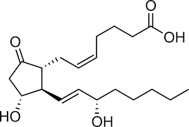 <p>What is the dental related function of Prostaglandin E2 (PGE2) </p>