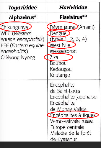 <p>Arbovirus: Arthropod Borne virus, virus de vertébrés transmis par des arthropodes hématophages</p><p></p><p>Clinique =</p><ul><li><p>Infections inapparentes</p></li><li><p>Etats fébriles pseudogrippaux</p></li><li><p>Fièvres hémorragiques (ex. fièvre jaune, dengue)</p></li><li><p>Atteintes du SNC (encéphalites japonaises, à tiques, West Nile, …)</p></li></ul><p></p><p>(Avec les chgmts climatique, on observe une “migration” des vecteurs de ces maladies)</p>