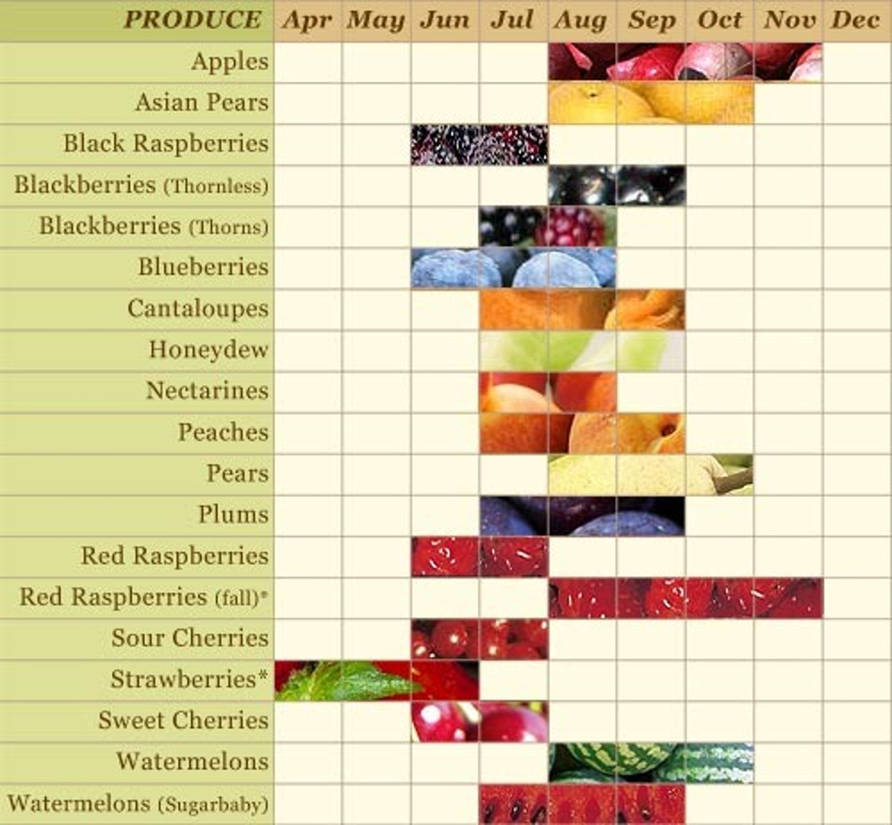 <p>seasonal fruit</p>